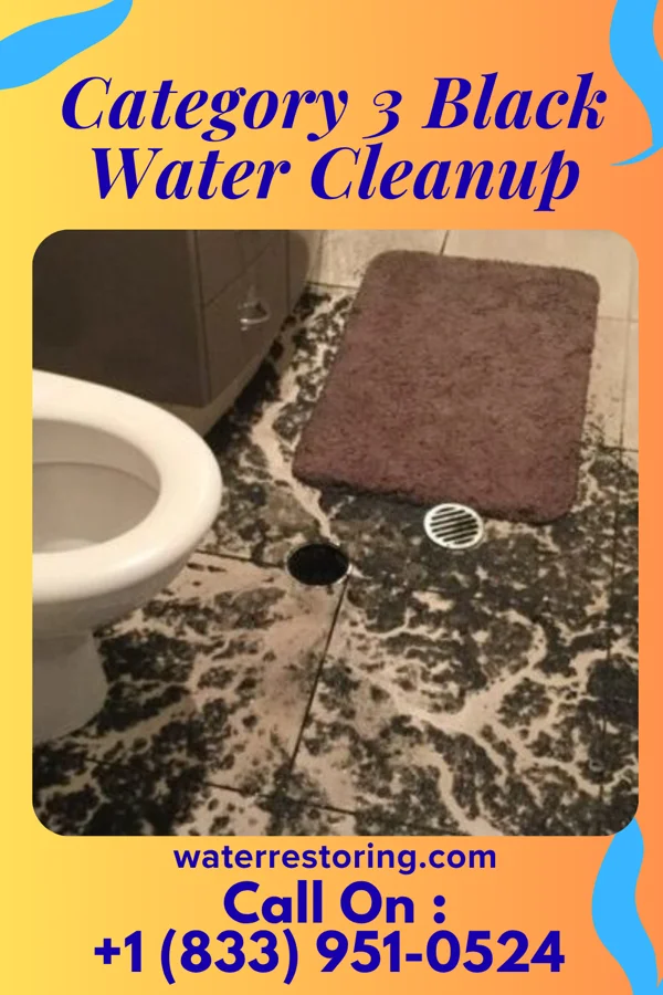 Category 3 Black Water Cleanup in Poplar, WI