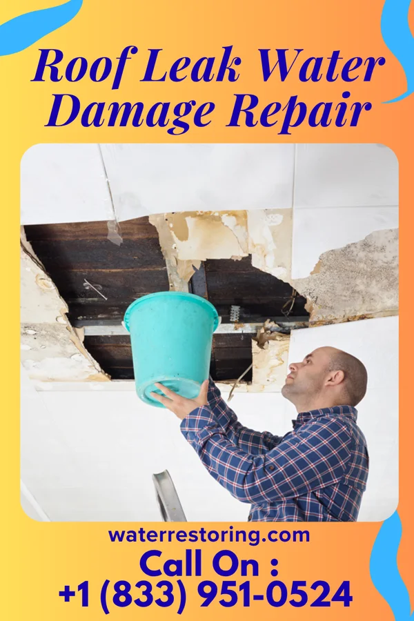 Roof Leak Water Damage Repair in Poplar, WI