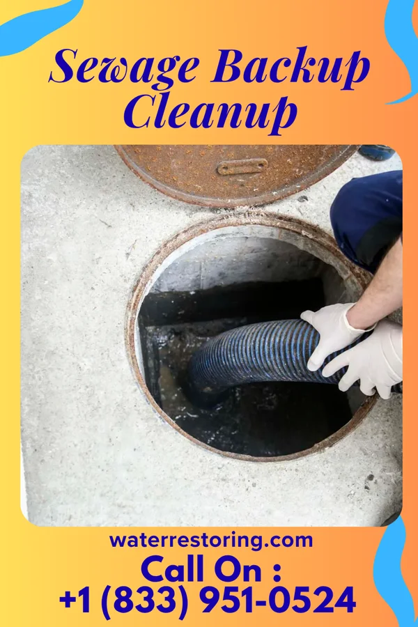 Sewage Backup Cleanup in Poplar, WI
