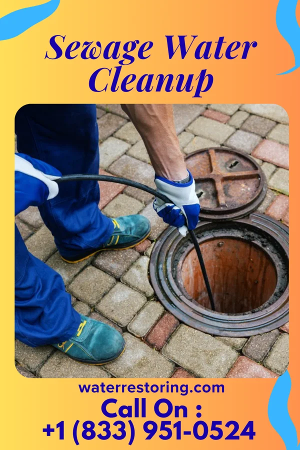 Sewage Water Cleanup in Poplar, WI