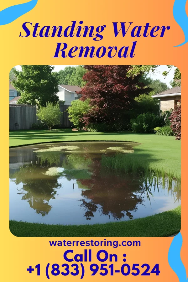 Standing Water Removal in Poplar, WI